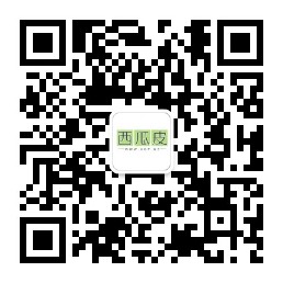 西瓜皮